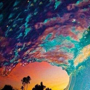 Meet your Posher, Pepper